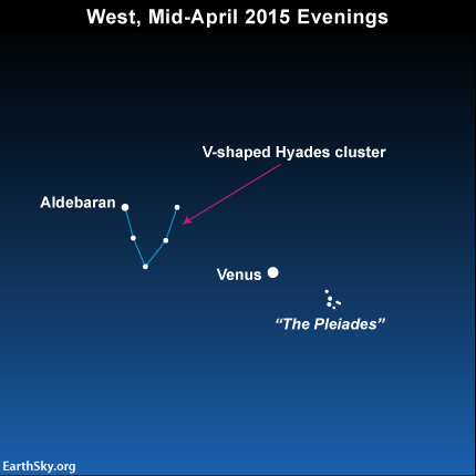 2015-mid-april-venus-hyades-pleiades