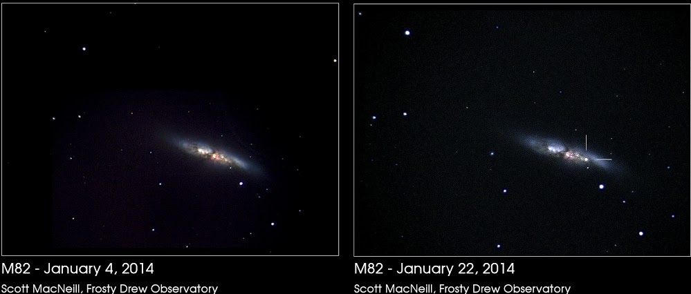 supernova-M82-Scott-MacNeill